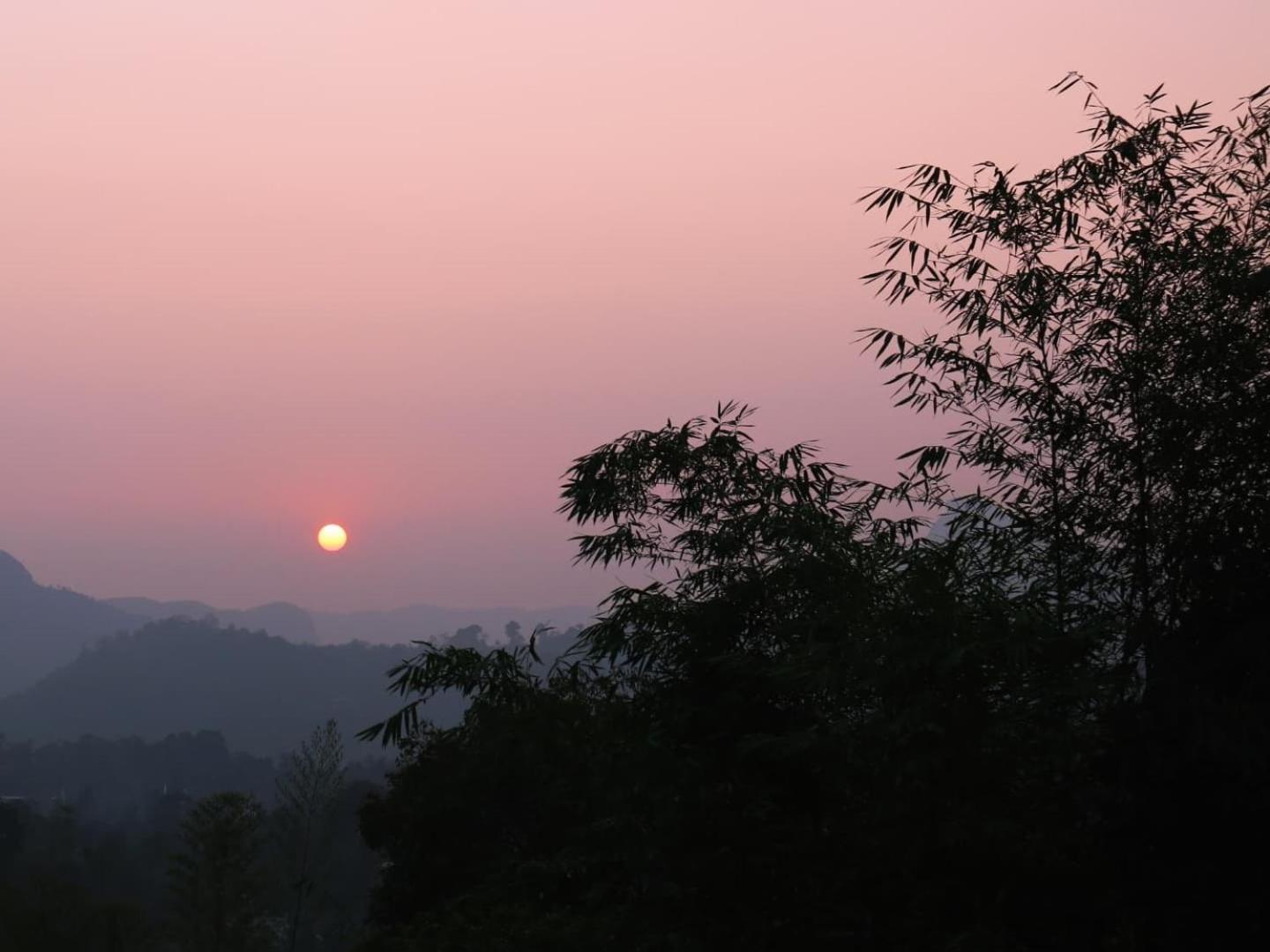 Asprin Homestay Munnar Bagian luar foto