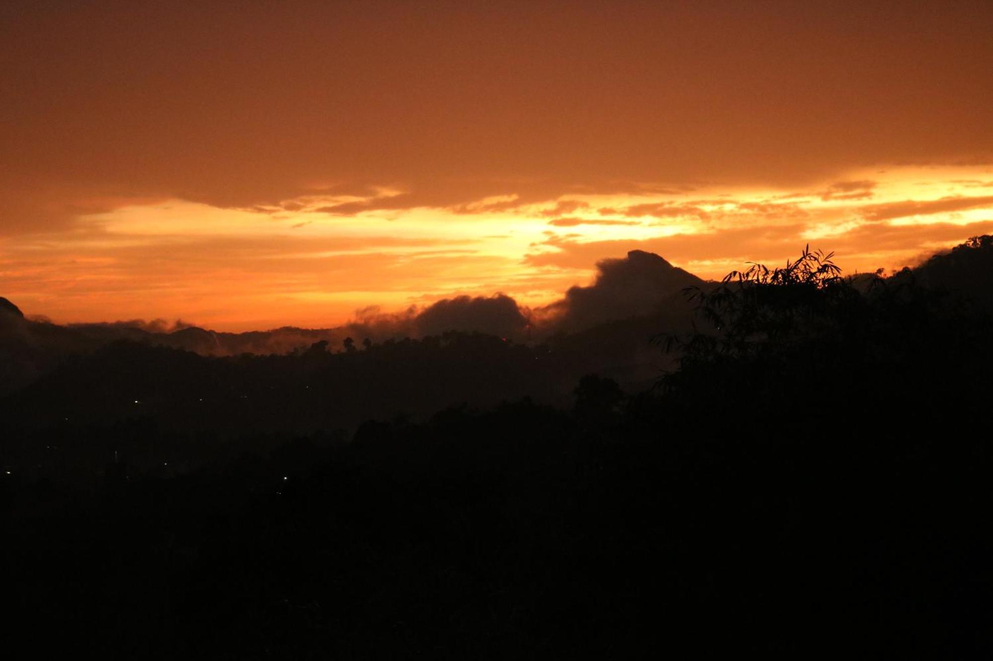 Asprin Homestay Munnar Bagian luar foto