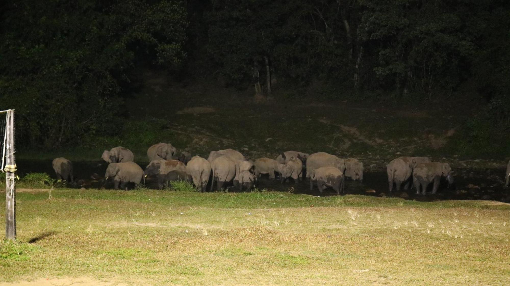 Asprin Homestay Munnar Bagian luar foto