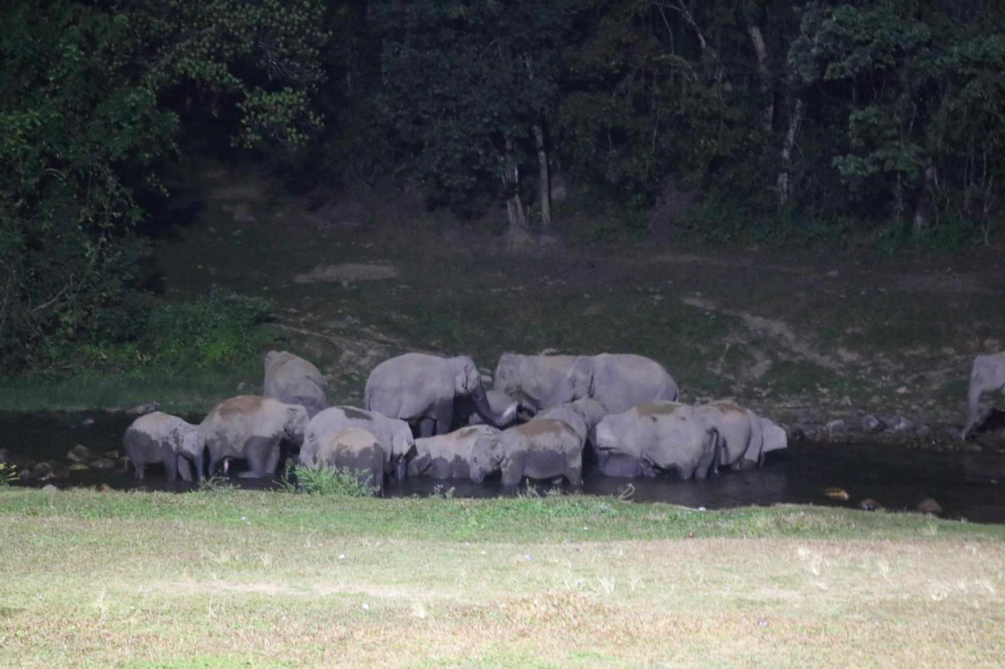 Asprin Homestay Munnar Bagian luar foto